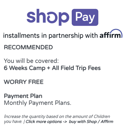 PAYMENT OPTION